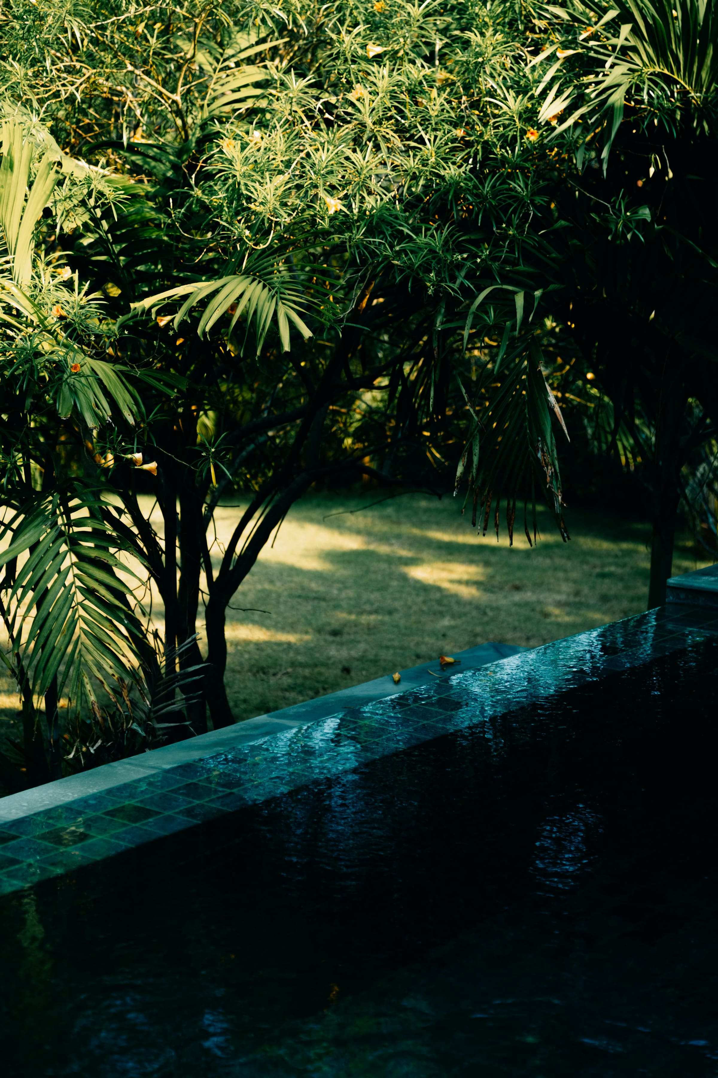 The dark tiled edge of an outdoor pool set into a shaded tropical garden.
